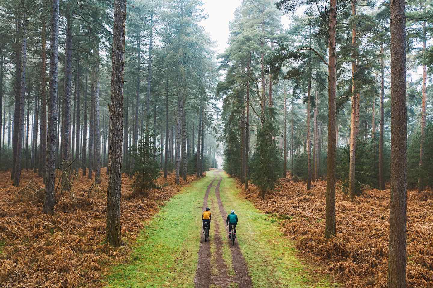 Earth-Month-Header-Photo