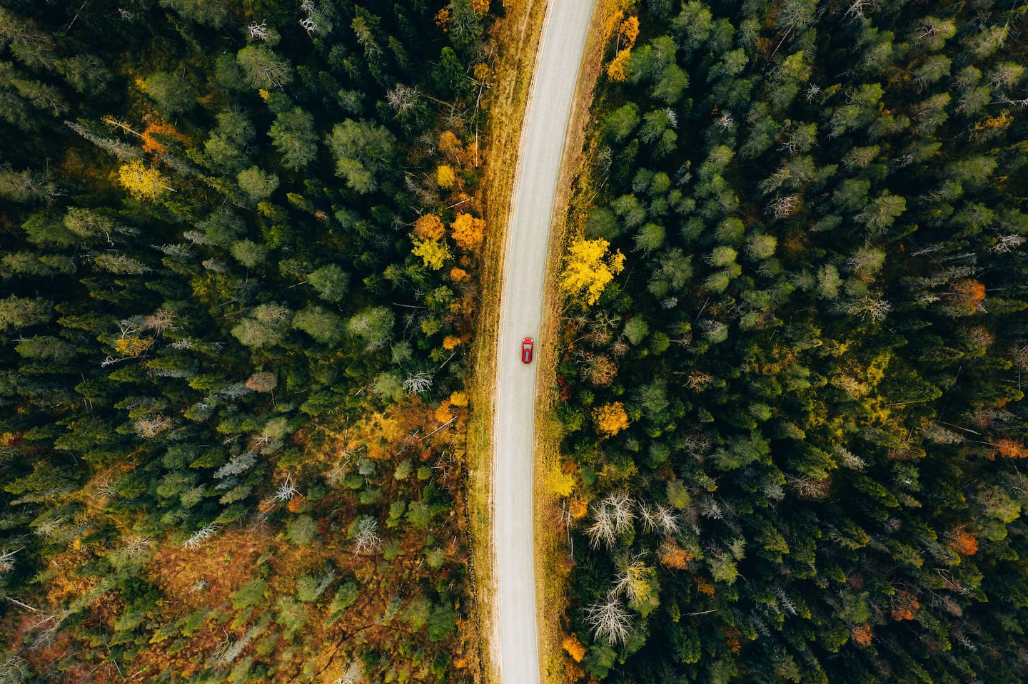 iStock-1180153773_RETOUCHED-jpg