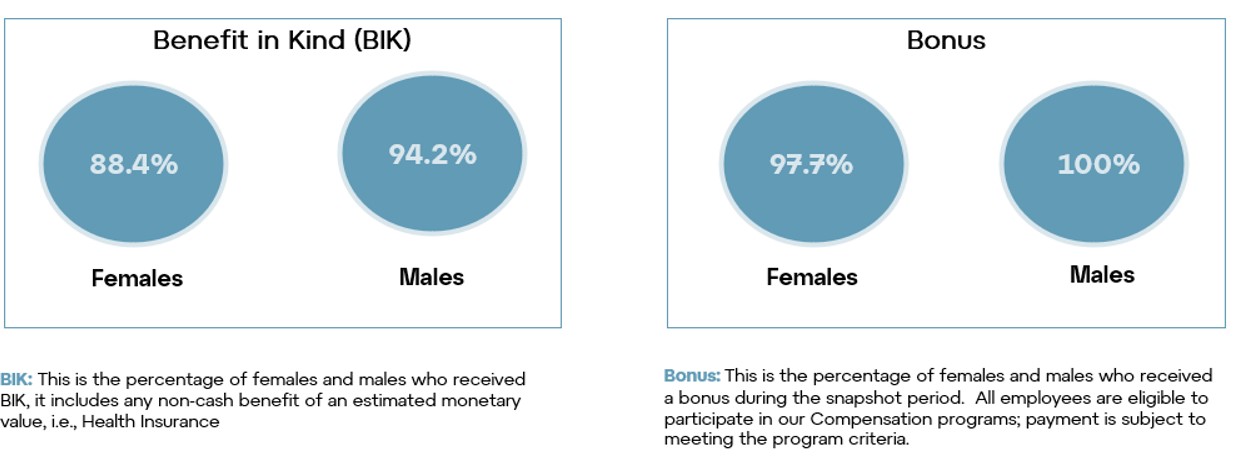 Benefit in Kind and Bonus